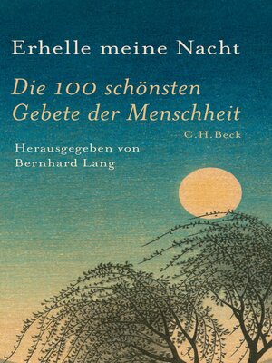 cover image of Erhelle meine Nacht